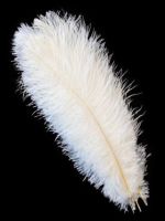 Kód: 39002 Strucctoll 25-30 cm hosszú - WHITE / 39002